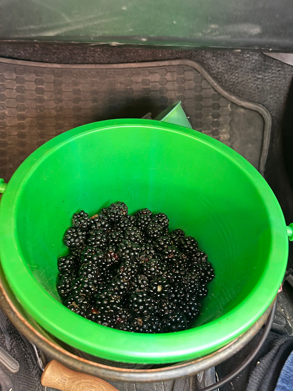 Green bucket filled with blackberries on a black, textured car mat. The vibrant green contrasts with the dark berries, creating a fresh feel.