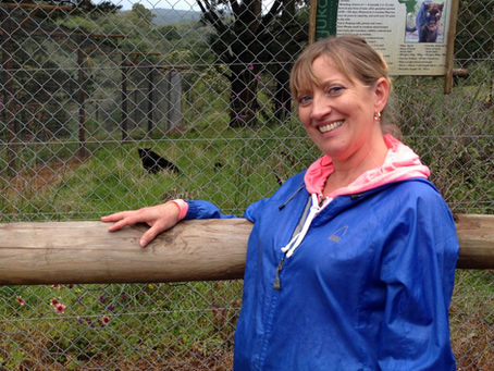 Celebrating the Arrival of Spring and a New Published Poem! 