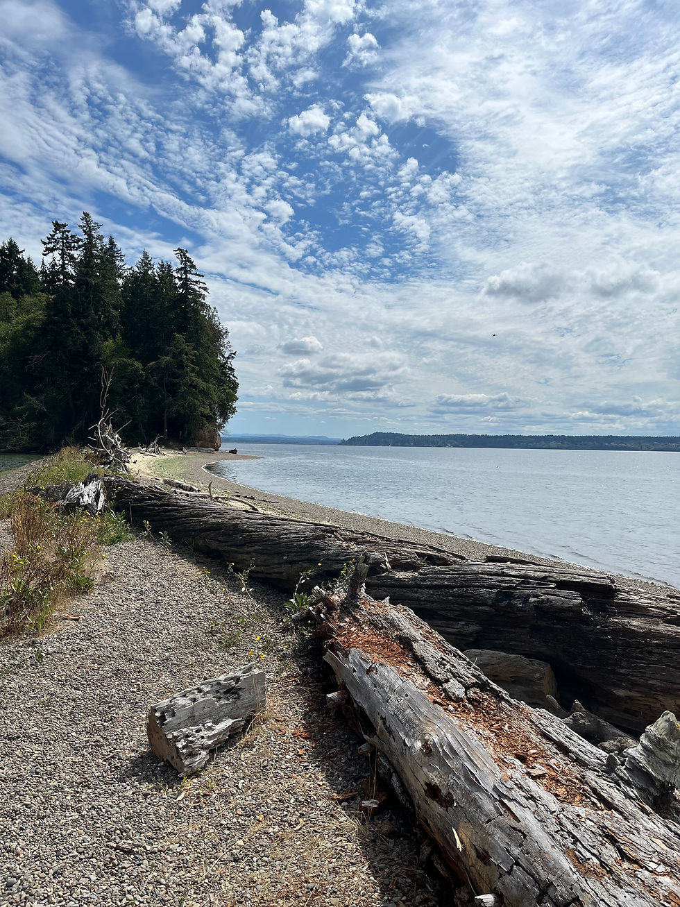 Andy's Marine Park on Anderson Island, WA