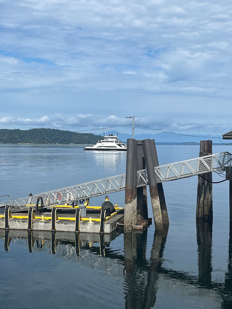 Isn't this little ferry boat so cute?! It is the Pierce County, WA ferry that we road to Anderson Island which is a 20 minute sail from Steilacoom, WA and is the southernmost island in the Salish Sea. It reported a population of 1,302 people in the 2020 census.