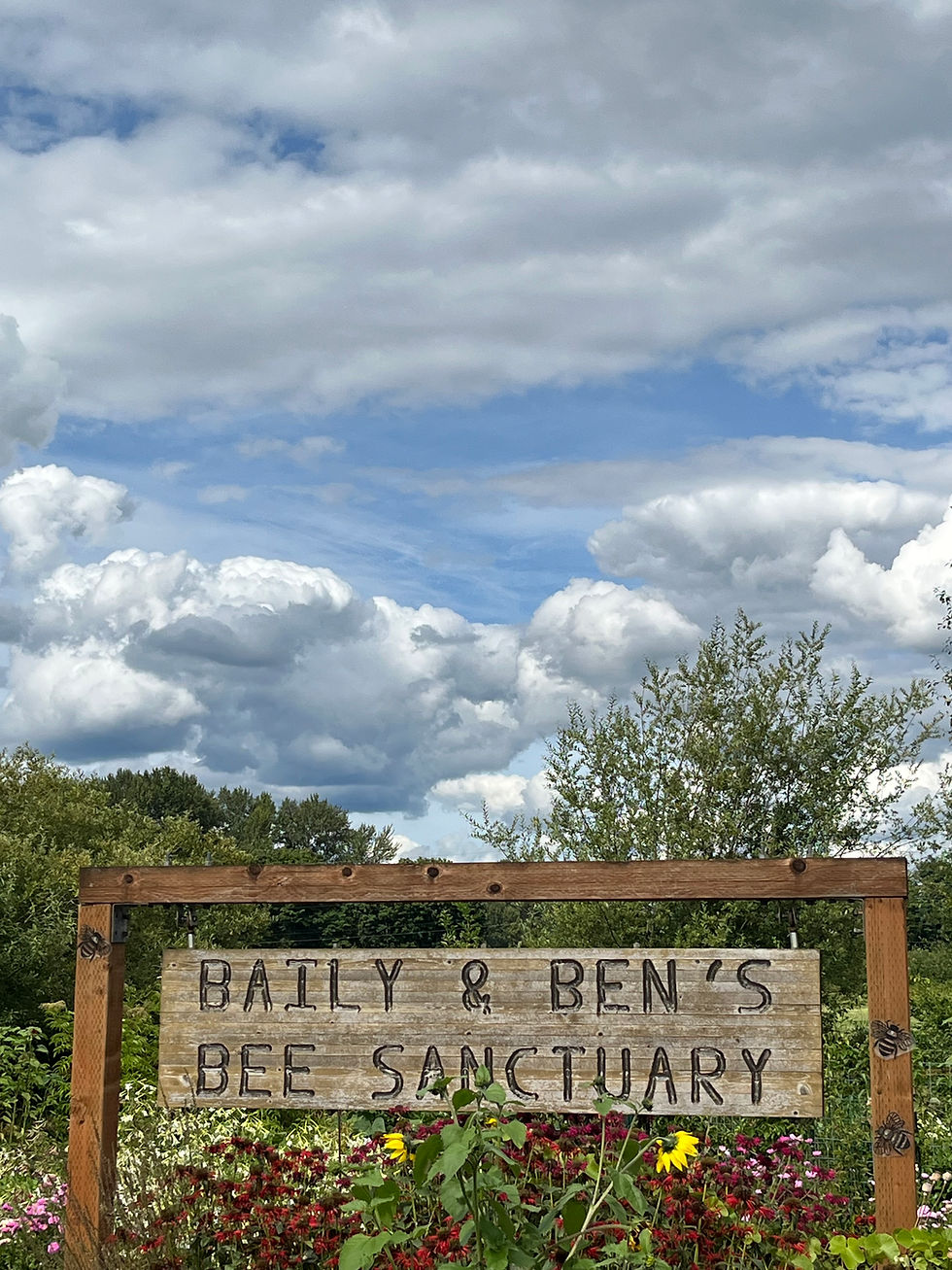 How delightful to run across this sign in Snohomish Washington! Being a bee nerd with the nickname of Wild Honey and seeing a bee sanctuary with the names of two of my favorite humans made me smile! The bee sanctuary is a private garden.