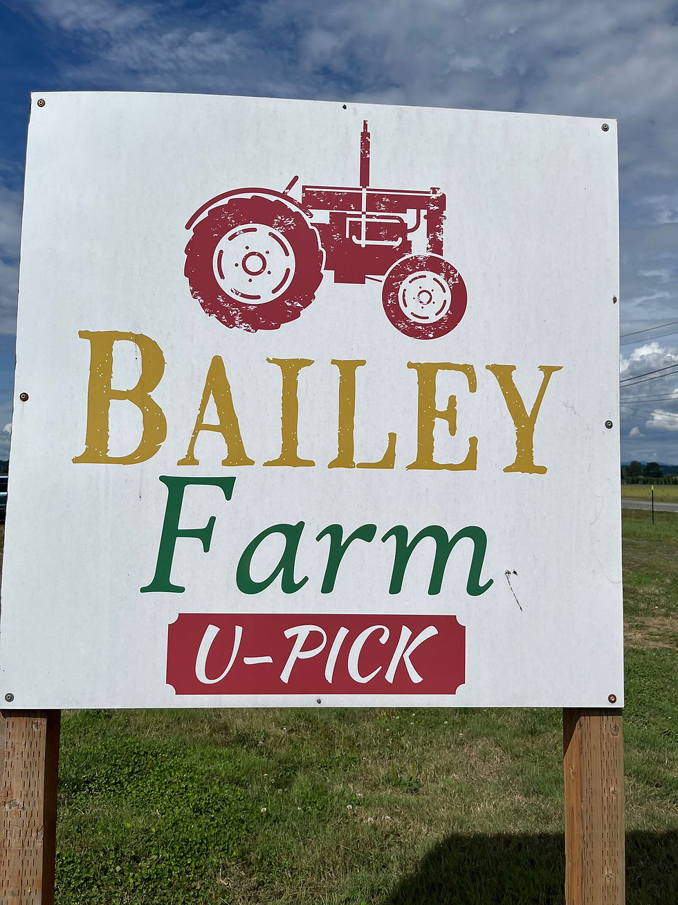Loved visiting this farm with someone I love whose name is Bailey!! We enjoyed picking bouquets of colorful zinnias.