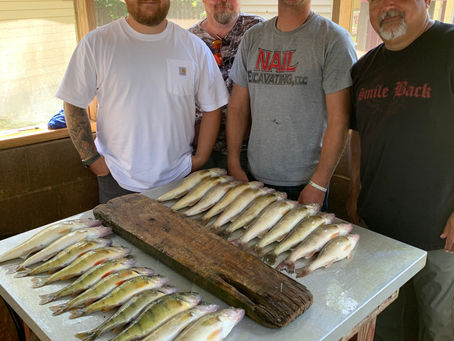 Shallow waters and beautiful walleyes and jumbo perch