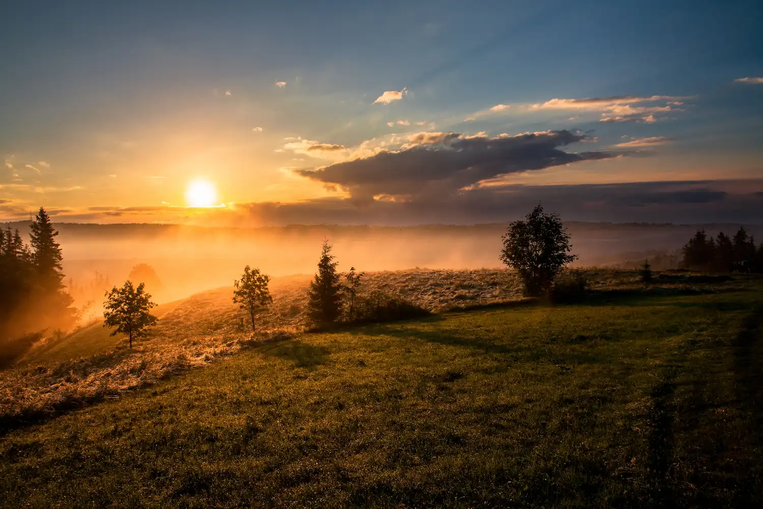 RE Hopeful Horizons.webp