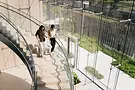 Testimonials Stairs LR.webp
