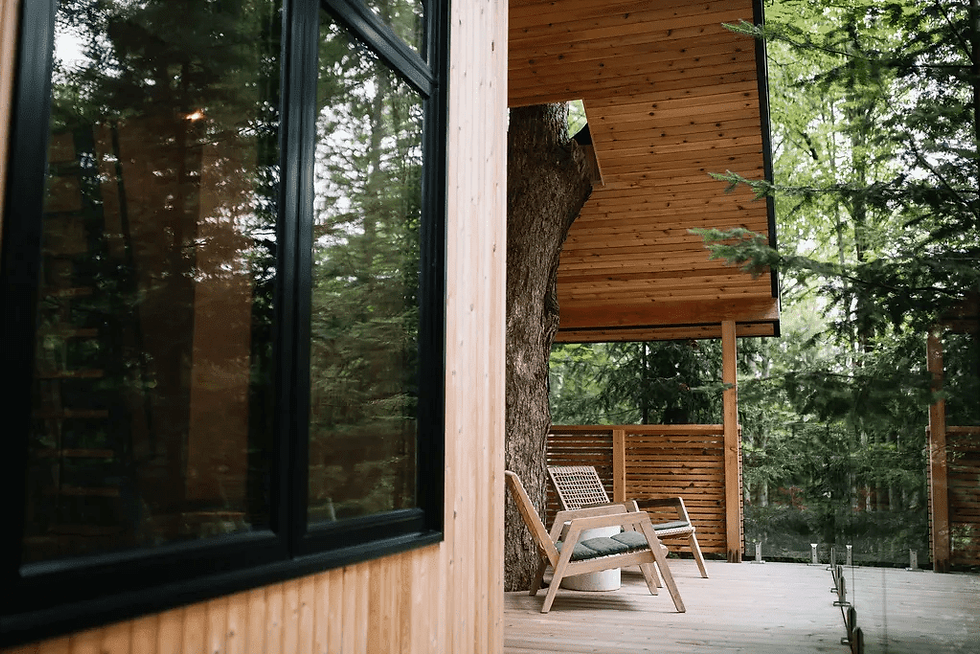 Experience the Magic and Sustainability of the Baltic Treehouse