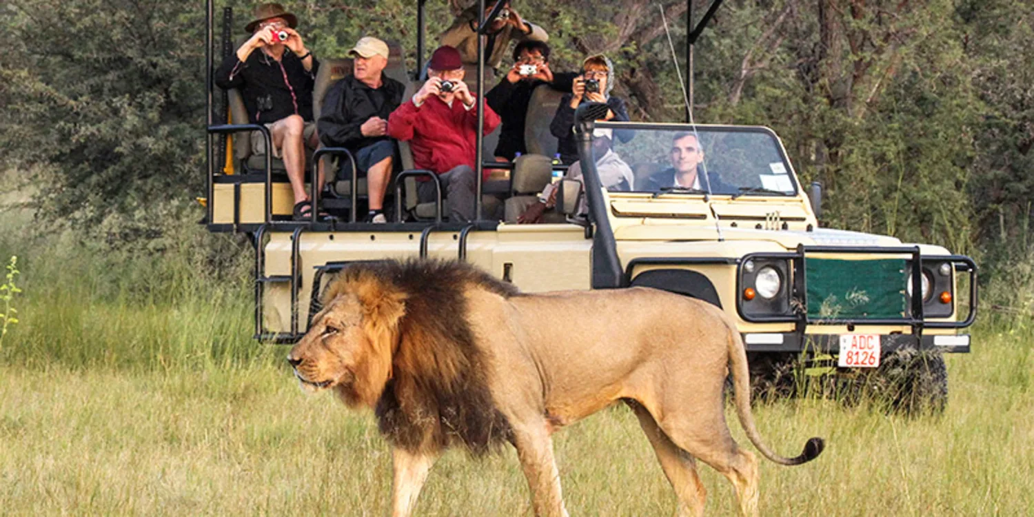 Zimbabwe wildlife tourism