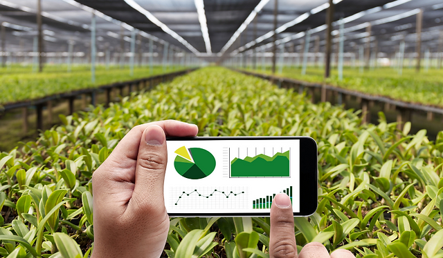 sustainable agriculture