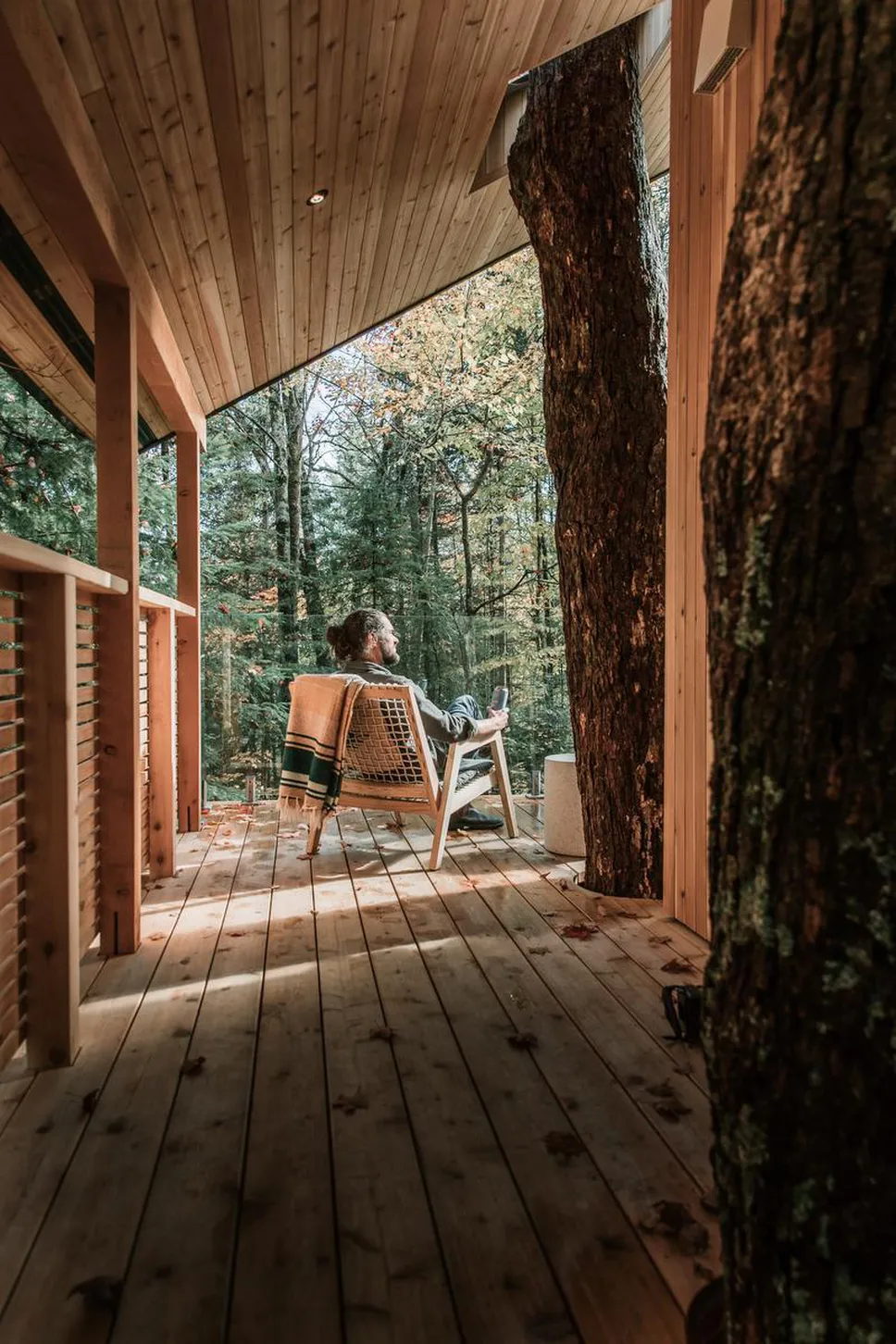 Experience the Magic and Sustainability of the Baltic Treehouse