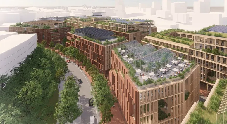 From Trees to Skyscrapers: Sweden's Epic Wooden City Paves the Way for Sustainable Living