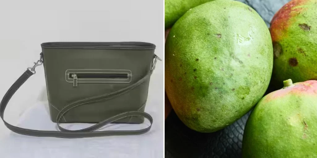 indian startup mango leather