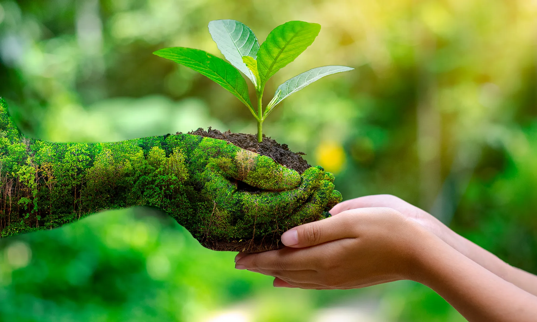 People will take sustainability seriously when companies make it more relatable
