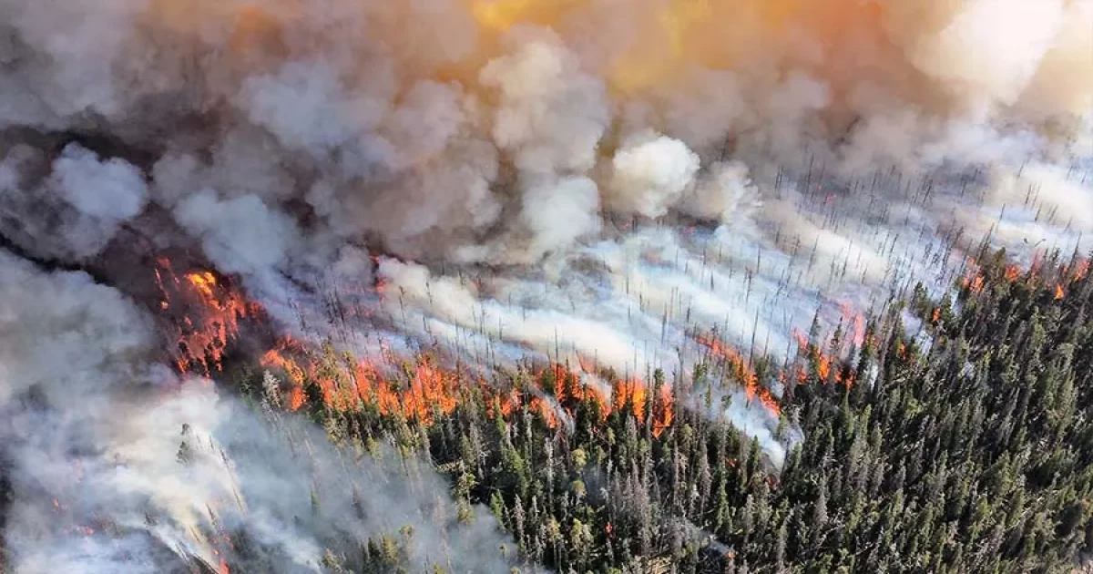 Current wildfires in Canada