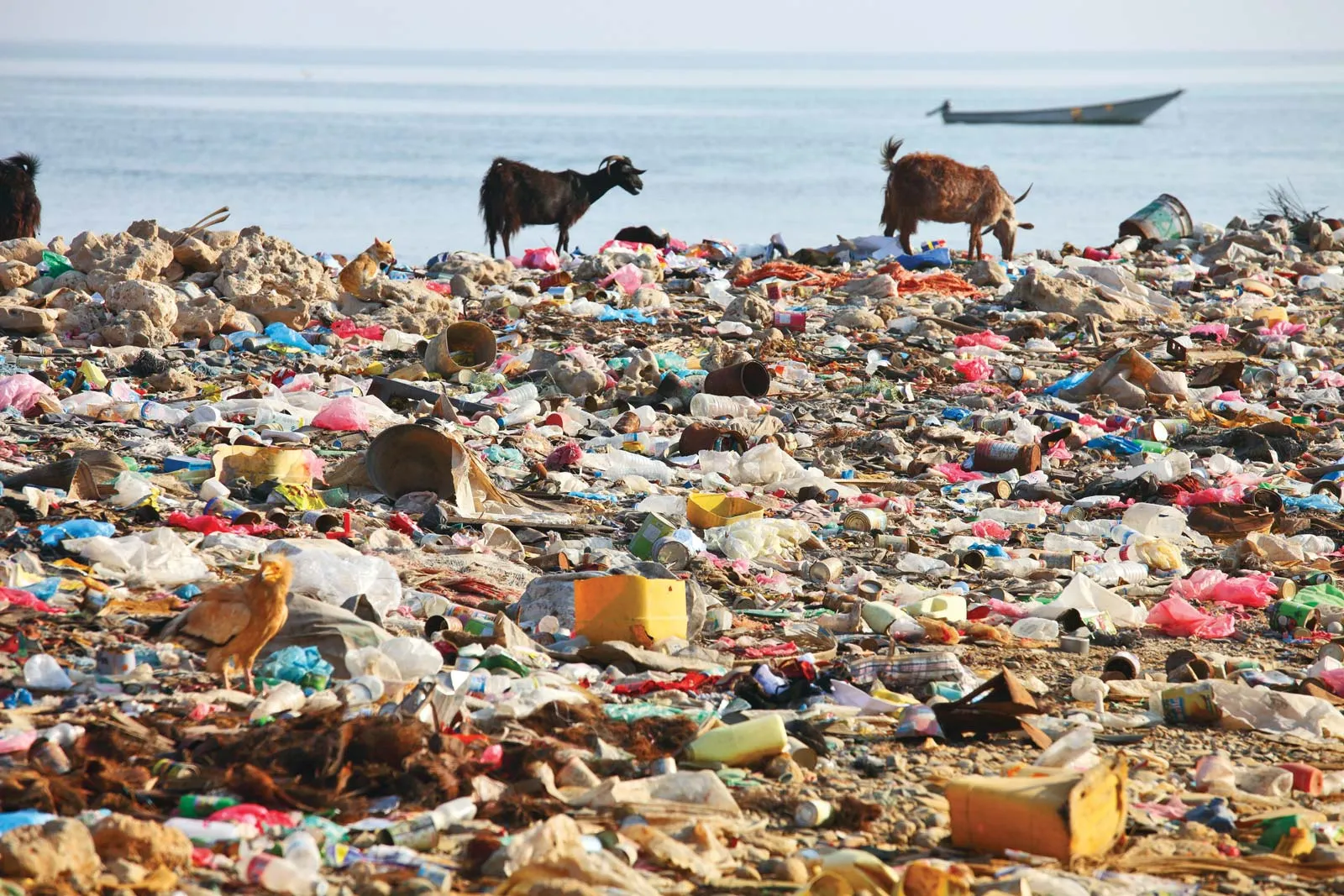 Taking Action Against Plastic Pollution: World Environment Day 2023