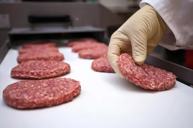 plant-based meat