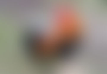 観能録〈鶏立田〉
