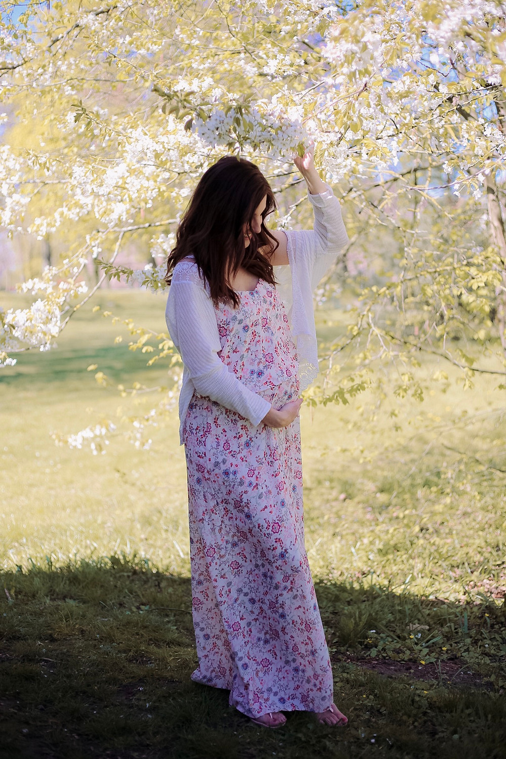 Babybauch shooting schwangerschaftsshooting Schwangerschaft nürnberg fürth erlangen