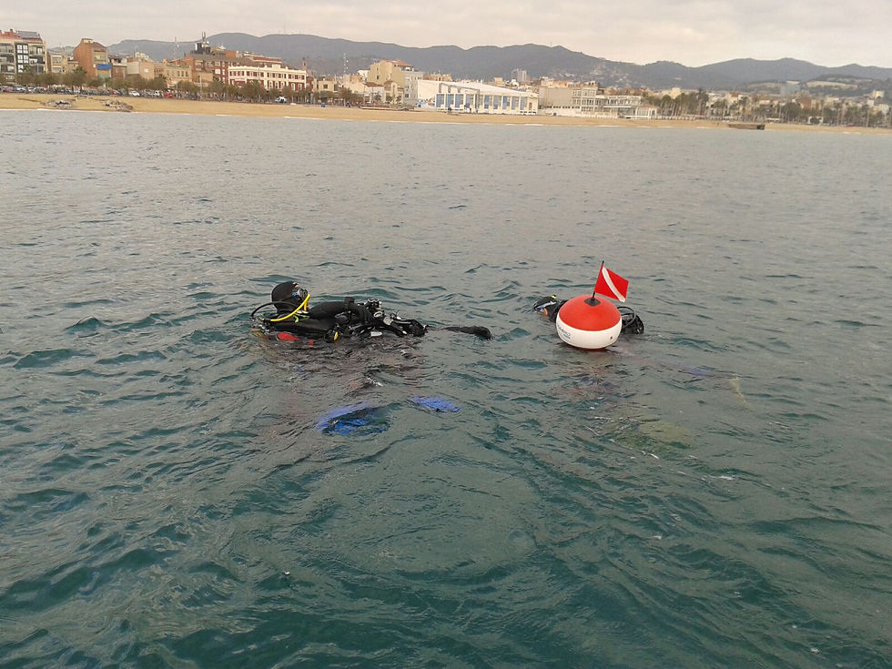 Curs de Salvament i Rescat