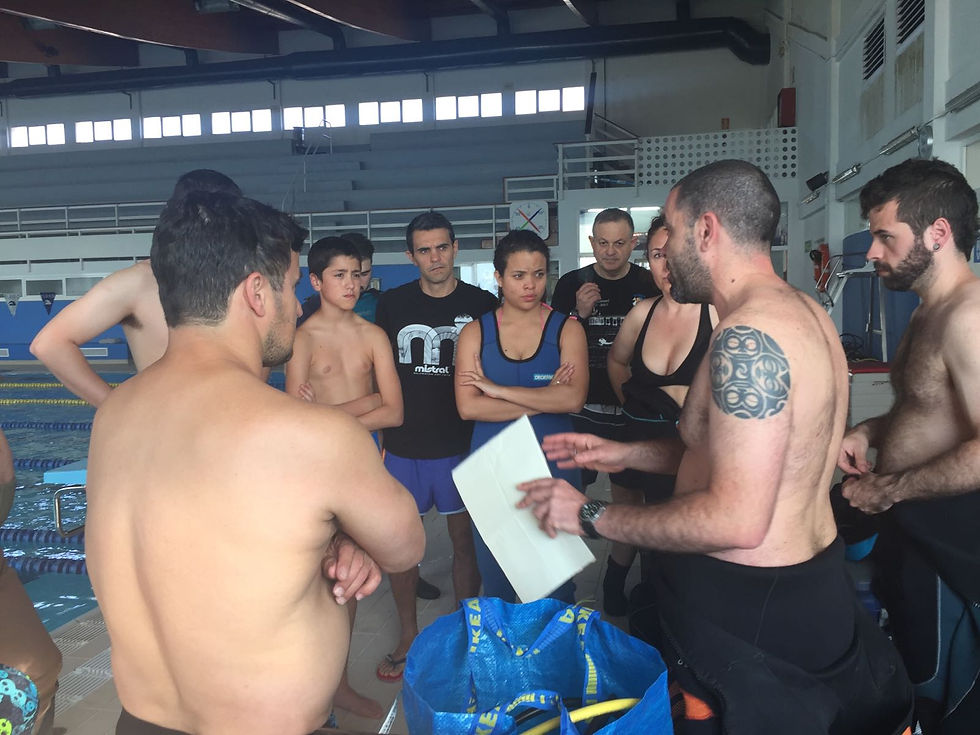 Curs Busseig 1E
