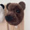 Thumbnail: wild bear (and sloth) hookhead