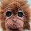 Thumbnail: cheeky wee monkeys hookheads