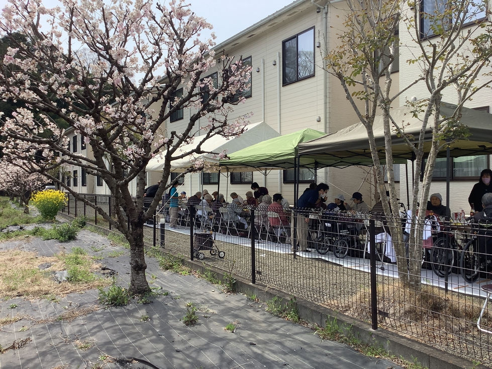 少し寒かったけど『お花見ランチ』