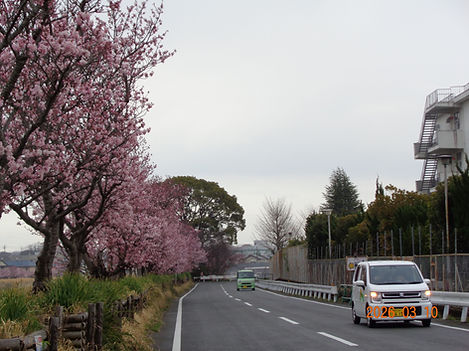 DSC08488.JPG