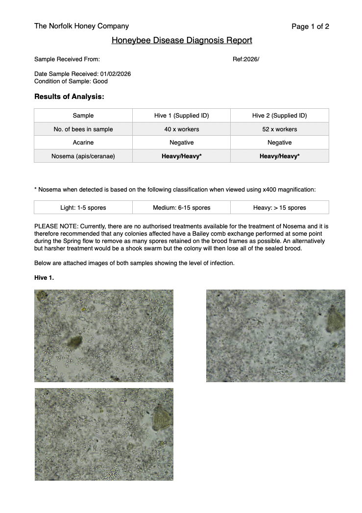 Thumbnail: Nosema Testing for Honeybees