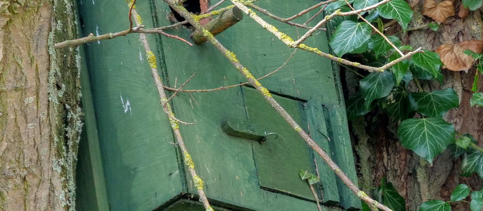 Bird Box Swarm Removal - May 2018