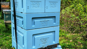Honey Paw Poly Langstroth Hive Setup