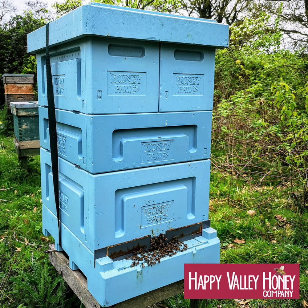 Honey Paw Poly Langstroth Hive Setup