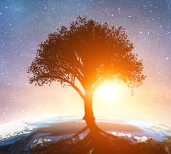 AdobeStock_165150997 (1).jpeg