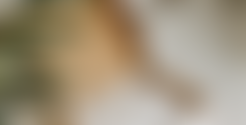 Bilder som viser moderne innholdsproduksjon, produktfoto, hverdagsøyeblikk, kreativt arbeid, filming, estetiske detaljer og autentisk visuelt innhold til sosiale medier.