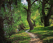 Dunapart - BrandBirds 03.jpg