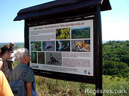 Régészeti_park_-_matricamuzeum.hu_6.jpg