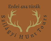 ed599e_42d0444f53ae4fbcaa3ef0944d3cfdee~mv2.png
