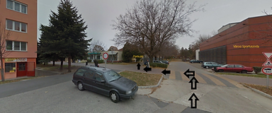 Pálmaparkoló.png