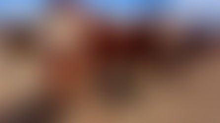 פר ההרבעה היקר ביותר נמכר ב-17,400 שקלים 