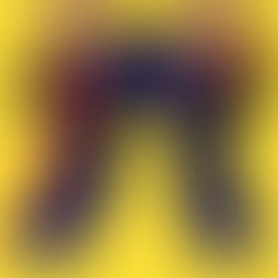 קצרצרים עם המכנסיים למטה