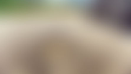 נגרם למכוניתכם נזק מבור בכביש? ייתכן שתוכלו לקבל פיצוי