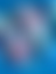 האם הכל תקשורת?