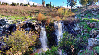 רשות ניקוז ונחלים כינרת: המלצה לטיול חורפי ל'מפל קצרין' בנחל קצרין- הזורם רק בחורף!
