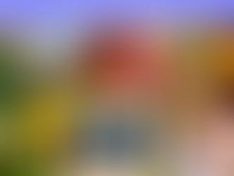 Carbs or Fats — Does It Really Matter?