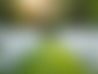 Budget-Friendly Party Rentals for Your Next Celebration