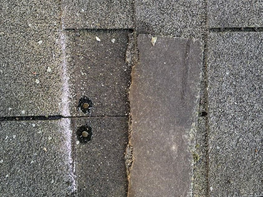 Asphalt shingle roof with a wind-torn tab missing and the nails exposed