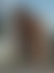 Explore modern architecture’s global icons — from Zaha Hadid’s futuristic designs to India’s new generation of visionary architects shaping skylines.