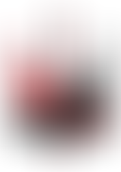 AS LEGIÕES Desfilam no dia Patría