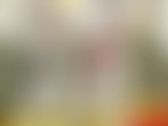 SEMINÁRIO GRÃO MESTRE RELSON GRACIE