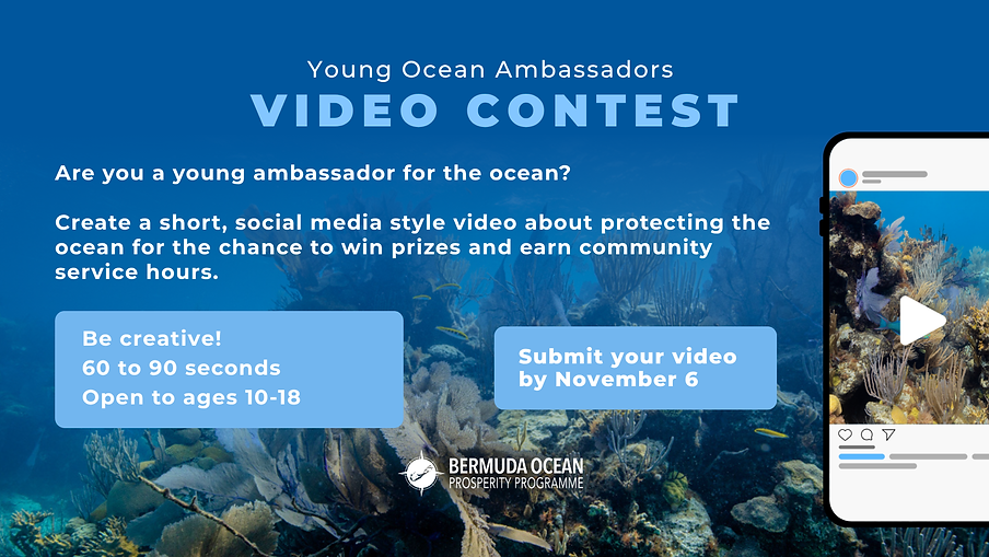 2026 VIDEO Contest (Presentation).png