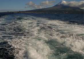 Blue Azores reinforces its commitment to the sustainable use of the region's sea (Article in PT)